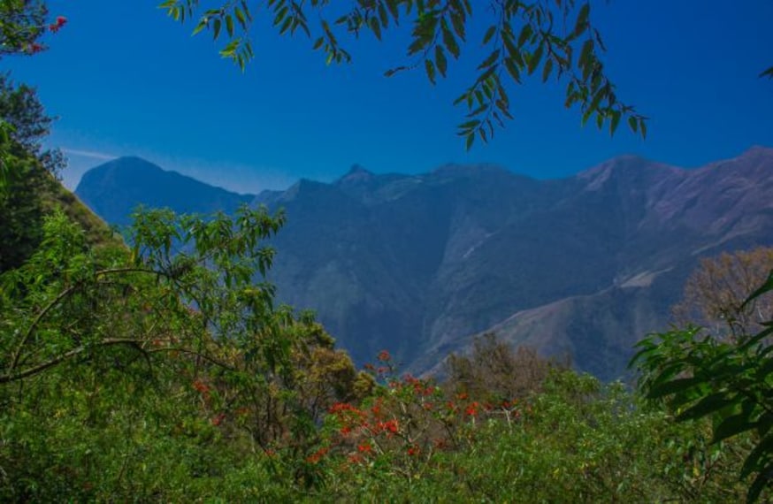 Munnar Pothamedu View Point Landscape Image